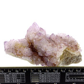 Kaktus oder Spirituosenquarz mit Amethyst
