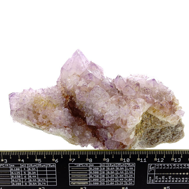 Kaktus oder Spirituosenquarz mit Amethyst