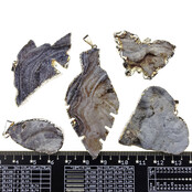 5 silver-plated chalceony pendants from Uruguay