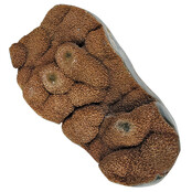 Mooi cluster van 2,7 kg chalcedoon uit Uruguay