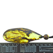 Mooie doorboorde hanger van Baltisch barnsteen met koord