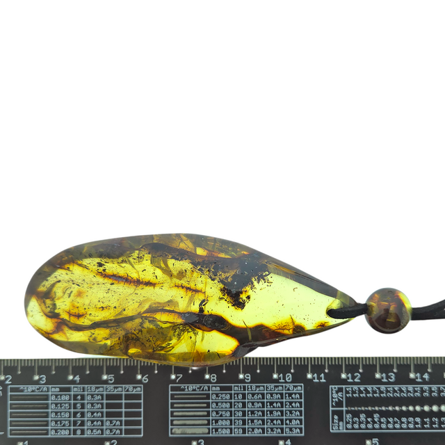 Mooie doorboorde hanger van Baltisch barnsteen met koord