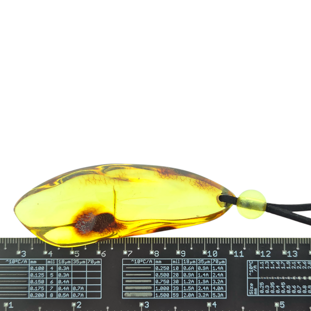 Beautiful pierced Baltic amber pendant with cord