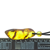 Beautiful pierced Baltic amber pendant with cord