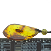 Beautiful pierced Baltic amber pendant with cord