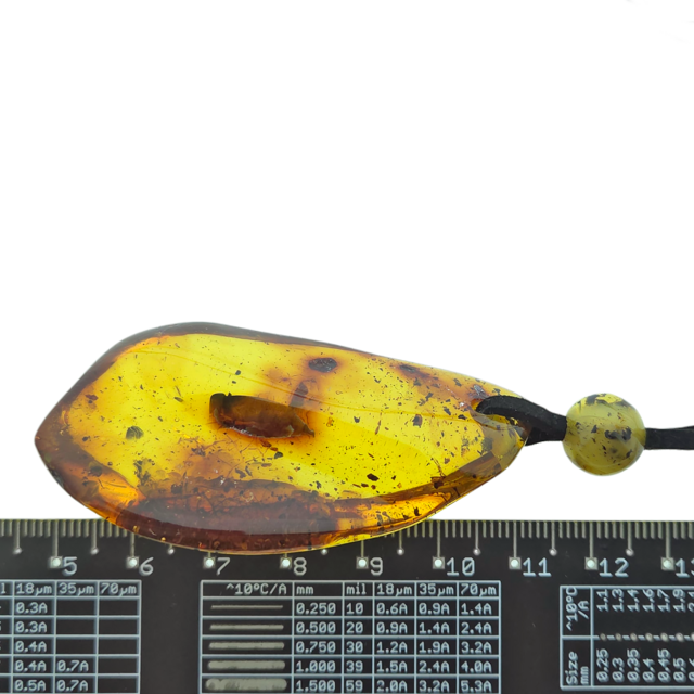 Beautiful pierced Baltic amber pendant with cord