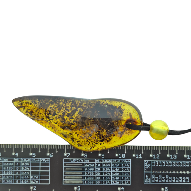 Beautiful pierced Baltic amber pendant with cord
