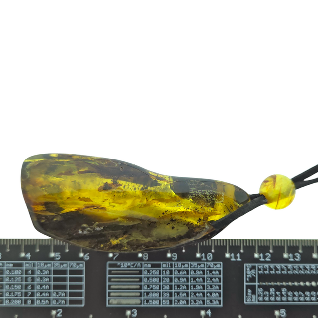 Beautiful pierced Baltic amber pendant with cord
