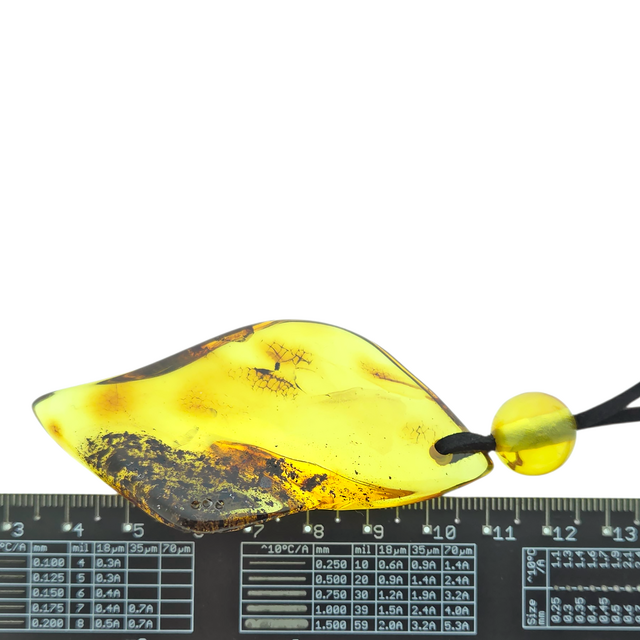 Beautiful pierced Baltic amber pendant with cord