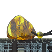 Beautiful pierced Baltic amber pendant with cord