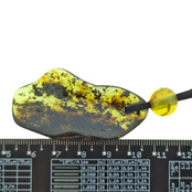 Beautiful pierced Baltic amber pendant with cord