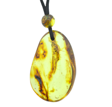 Beautiful pierced Baltic amber pendant with cord