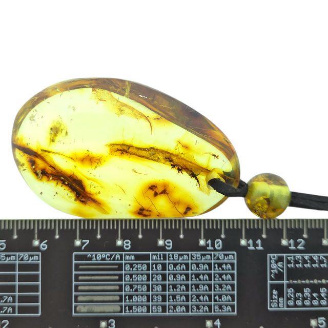 Beautiful pierced Baltic amber pendant with cord