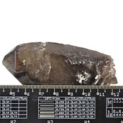 Rookkwarts van Mt. Malosa, Zomba, Malawi