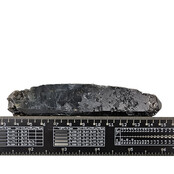 Rookkwarts van Mt. Malosa, Zomba, Malawi