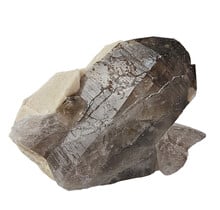 Rookkwarts van Mt. Malosa, Zomba, Malawi