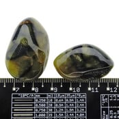 Nelliet met pietersiet - Stormsteen