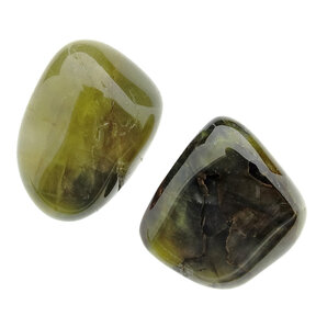 Nellite with pietersite, 2 pieces