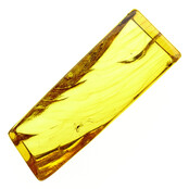 Baltic amber with enclosed mosquito