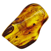Baltic amber with enclosed insects