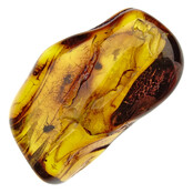 Baltic amber with enclosed insects
