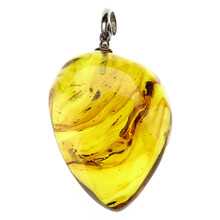 Amber pendant  with enclosed insect