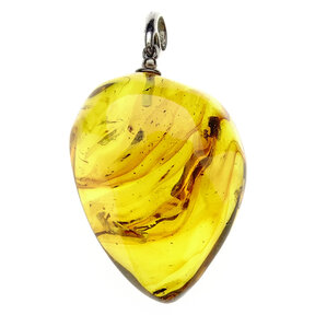 Amber pendant  with enclosed insect