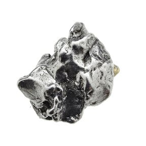 Campo del Cielo meteorite