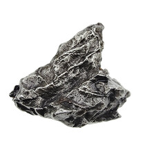 Campo del Cielo Meteorit