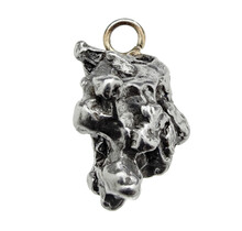 Iron meteorite crystal pendant