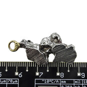 Mooie hanger van ijzermeteoriet kristallen