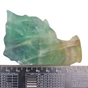 Drachenschädel aus Fluorit B Qualität