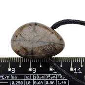 Mineraal met het kenmerkende kruis