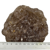 Smoky quartz from Brazil with elestial growth, also known as alligator quartz