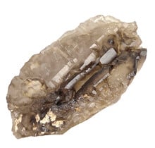 Smoky quartz from Brazil with elestial growth, also known as alligator quartz