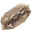 Smoky quartz from Brazil with elestial growth, also known as alligator quartz