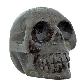 Meteorite skull