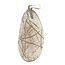 Rutilated quartz, quartz variant with ingrown needles