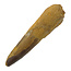 Real dinosaur tooth of the Spinosaurus 7 cm