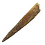 Echter Dinosaurierzahn des Spinosaurus 9,5 CM