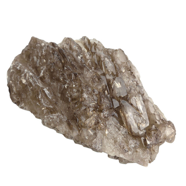 Smoky quartz from Brazil with elestial growth, also known as alligator quartz
