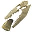 Mosasaurus tooth with 10 cm 3D skull