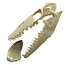 Mosasaurus tand met 3D schedel van 10 cm
