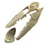 Mosasaurus tooth with 10 cm 3D skull