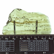 Libysches Glas oder Goldtektit poliert
