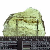 Libysches Glas oder Goldtektit poliert