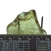 Libysches Glas oder Goldtektit poliert