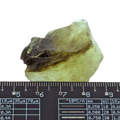Libysches Glas oder Goldtektit