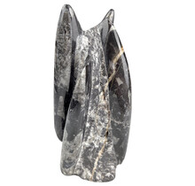 Orthoceras B quality 20 cm high