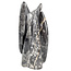 Orthoceras  B kwaliteit 20 cm hoog